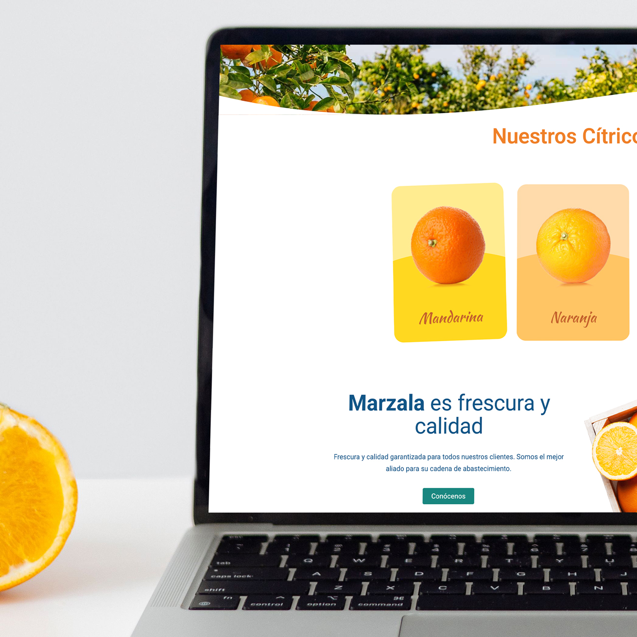 Marzala sitio web 2026