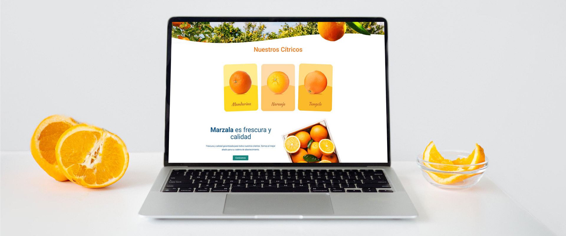 Marzala sitio web 2026