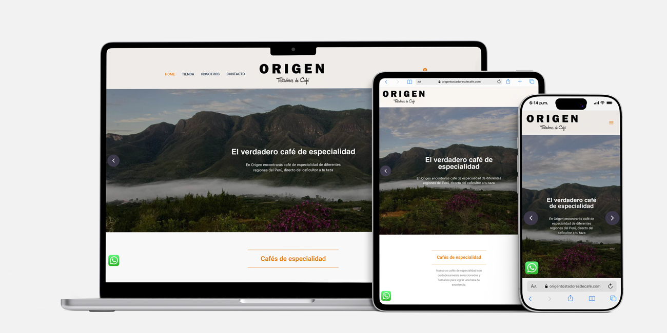 Rediseño de Sitio Web y Tienda Online